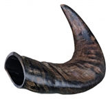 Bøffelhorn 15-22 cm